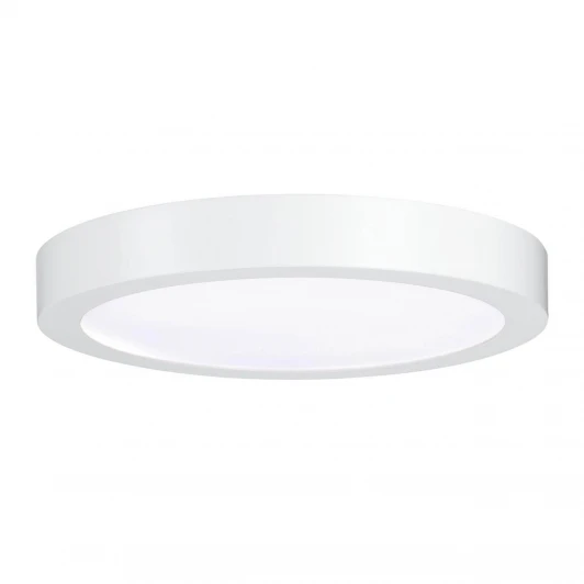 50084 Настенно-потолочный светильник Paulmann SmartHome 50084