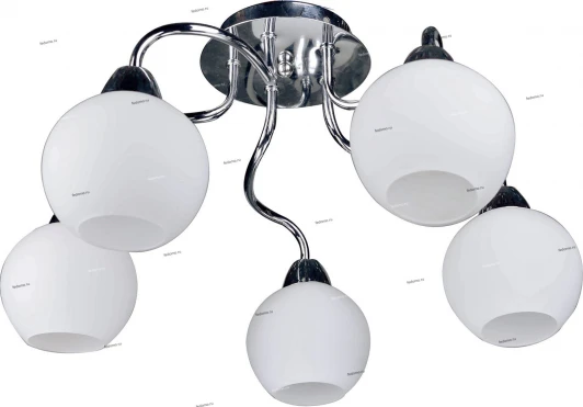 069/5PL Myone 069 069/5PL