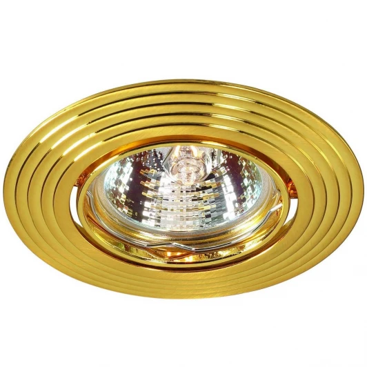 369433 Встраиваемый точечный светильник Novotech Antic 369433