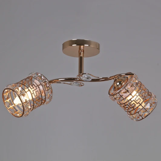 03672-0.3-02 Потолочная люстра на штанге Reluce 03672-0.3-02 (220V)