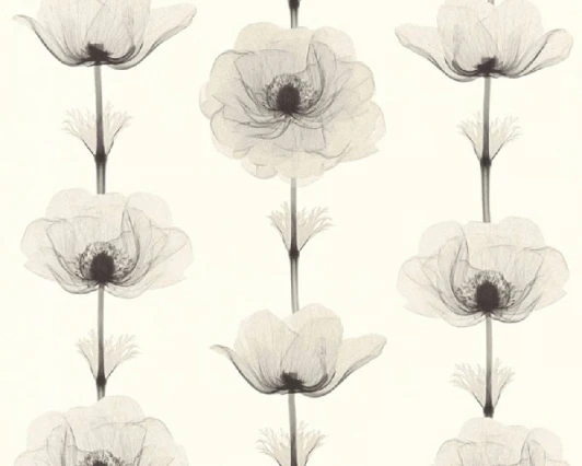 34273-4 Обои виниловые A.S. Creation X-Ray 34273-4 10,05 x 0,53 м