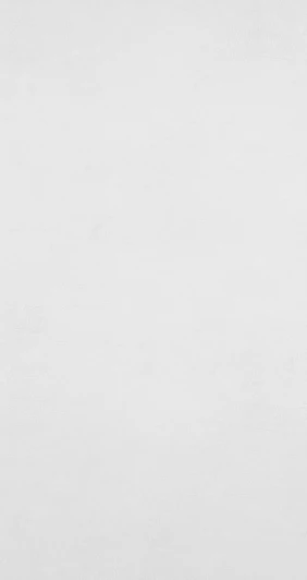 BN 17920 Обои виниловые BN International Curious BN 17920 10,05 x 0,53 м