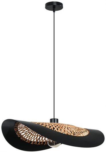 A7059SP-1BK Подвесной светильник Arte Lamp Woodstock A7059SP-1BK (220V, на проводе)
