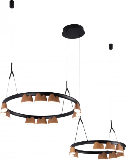 4266-21P Подвесной светильник Favourite Interline 4266-21P (LED, 220V, на тросе)