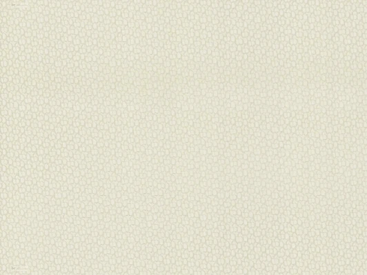 28054 Обои виниловые Emiliana Parati BeBlumarine 1 28054 10,05 x 1,06 м