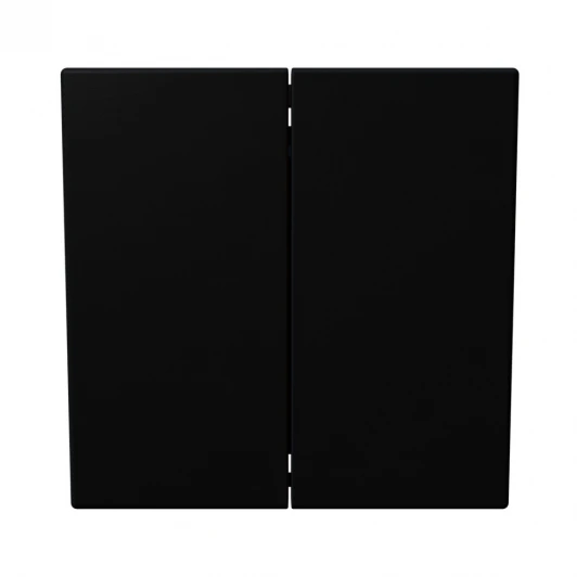 FD3023PBM Выключатель двухклавишный (черный матовый) Jasmart FD FD3023PBM