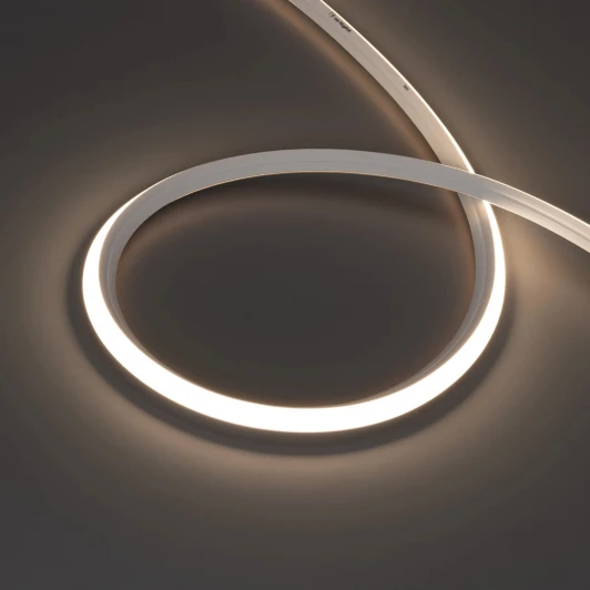 041501 Светодиодная лента герметичная MOONLIGHT-3D-X544-10x10mm 24V Day4000 (8 W/m, IP67, 5m, wire x1) (Arlight, Вывод боковой) 041501