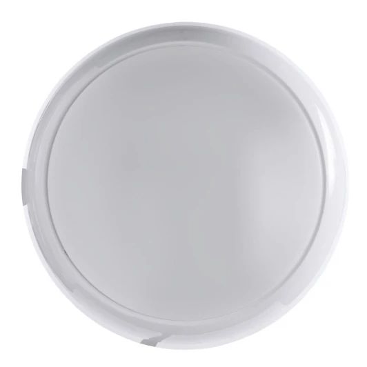 A4520PF-1WH Потолочный светильник уличный Arte Lamp Porch A4520PF-1WH