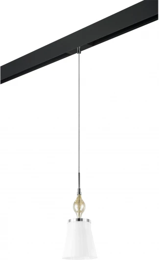 PRO806010 Трековый светильник однофазный 220V Lightstar Escica PRO806010