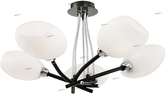 23-021-05CL Snowlight 2300021 23-021-05CL