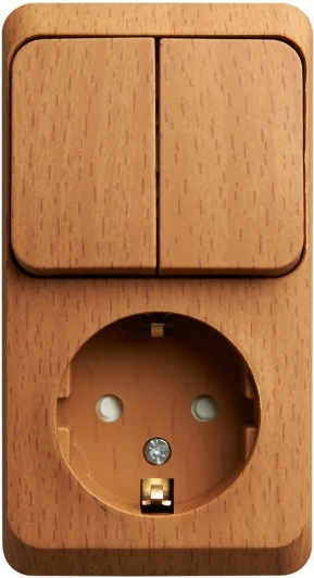 BPA16-202T Розетка накладная с заземлением с двухклавишным выключателем (бук) Systeme Electric BPA16-202T