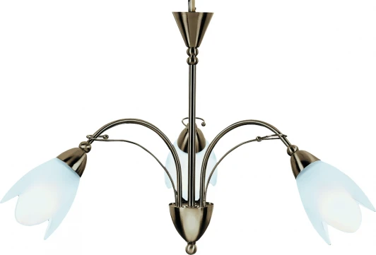 A4905LM-3AB Потолочная люстра Arte Lamp Petal A4905LM-3AB