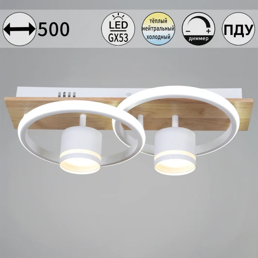 29560-0.3-2+2 WH+WOOD Потолочная люстра с пультом с регулировкой цветовой температуры, яркости и ночным режимом Reluce 29560-0.3-2+2 WH+WOOD