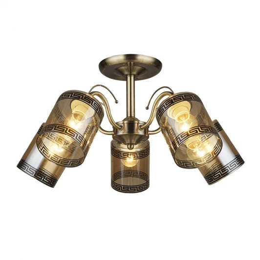 66229.01.05.05 Потолочная люстра Wedo Light Сантади 66229.01.05.05