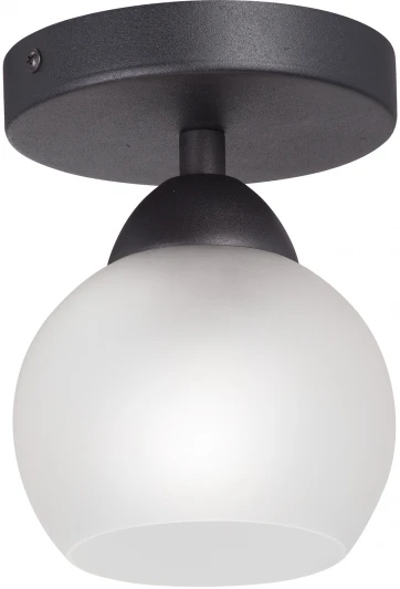 V3963-1/1PL Потолочный светильник V3963-1/1PL Vitaluce