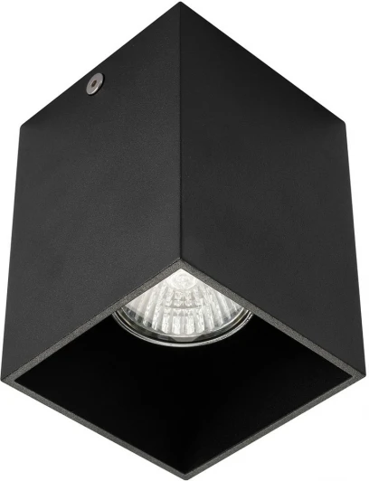 AM01-110 BK Точечный светильник AM Group AM01 AM01-110 BK (220V)
