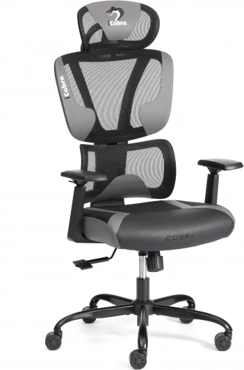 24848 Кресло Tetchair iCobra