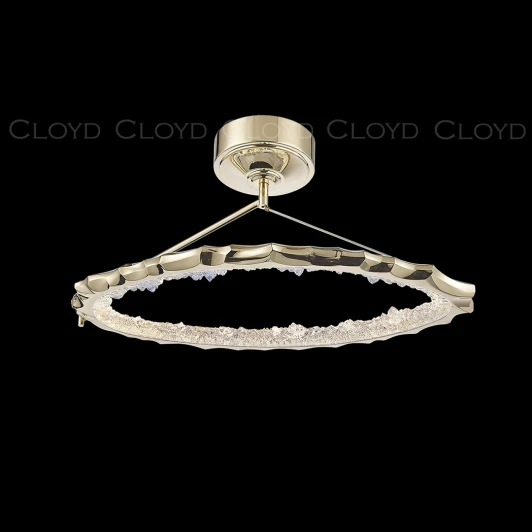 11382 Потолочная люстра светодиодная на штанге кольцо Cloyd Esse 11382 (220V, кольцо)