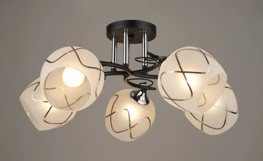 000054519 Потолочная люстра на штанге SL1N A1378-5 CR 000054519