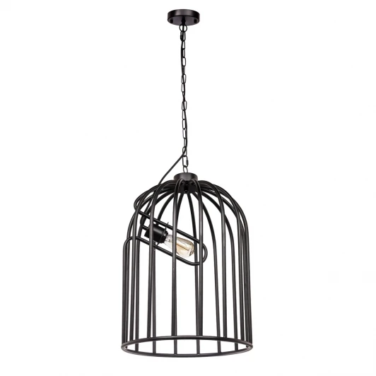 LOFT1893A Подвесной светильник Loft IT Cage LOFT1893A