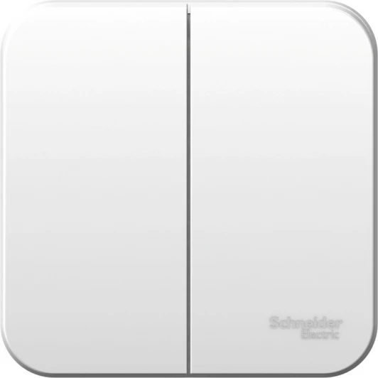 BLNVA065001 Выключатель накладной двухклавишный (белый) Systeme Electric Blanca BLNVA065001