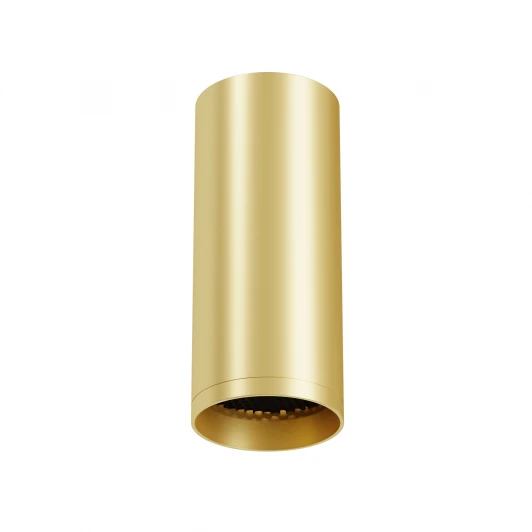 C010CL-01MG-N Потолочный светильник Maytoni Technical Focus C010CL-01MG-N