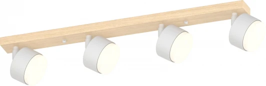 7078-704 Настенно-потолочный спот Rivoli Vivian 7078-704 4хGX53 15 Вт поворотный