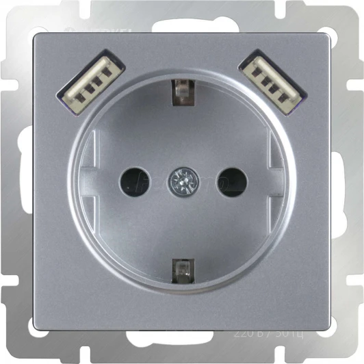WL06-SKGS-USBx2-IP20 Розетка встраиваемая с заземлением, шторками и двумя USB Werkel, серебро