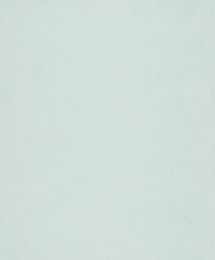 CE 1407 Обои виниловые Grandeco Aurora 2022 CE 1407 10,05 x 0,53 м