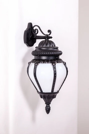 89502L Bl Настенный фонарь уличный Oasis Light 89502L Bl
