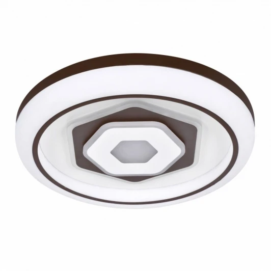 2456-5C Потолочный светильник F-Promo Lamellar 2456-5C