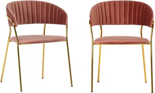 FR 0161P Комплект из 2-х стульев Turin пудровый с золотыми ножками Bradexhome арт.FR 0161P