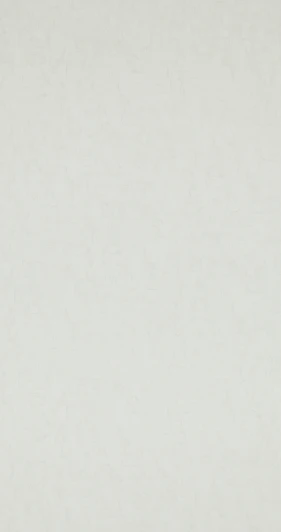 BN 17128 Рулонные обои Van Gogh 17128