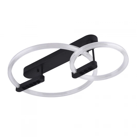 L1022-660 Потолочный светильник светодиодный LED4U LED4U L1022-660