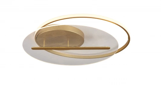 1164-LED70CL Потолочная люстра Simple Story 1164 1164-LED70CL