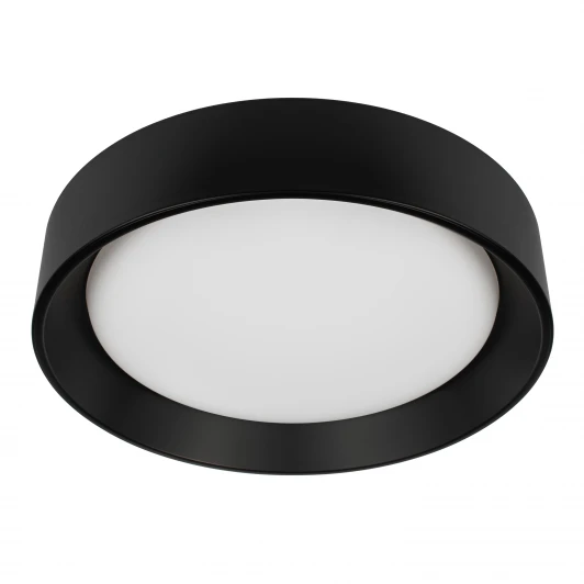 10202 BB Потолочный светильник светодиодные Loft It Coin 10202 BB