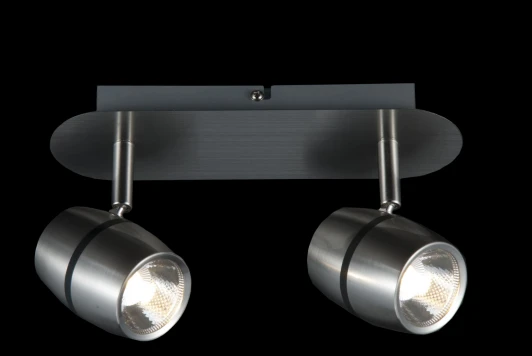 ECO004-02-N Спот Maytoni Meson ECO004-02-N