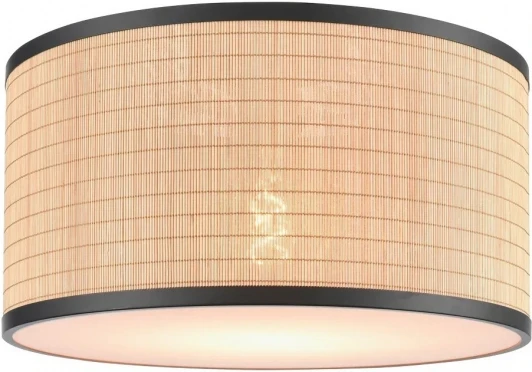 568-717-01 Потолочный светильник круглый Velante 568-717-01 (220V, круглые)