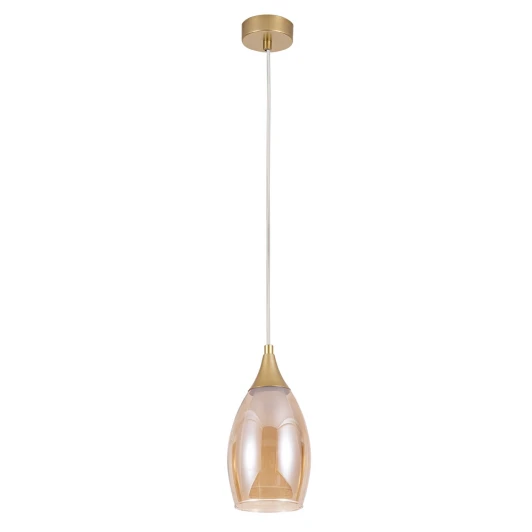 A7951SP-1GO Подвесной светильник Arte Lamp Barry A7951SP-1GO