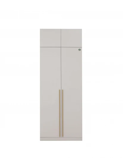 102010 Шкаф Николь-2, Кашемир/Сатиновое золото Ивару 102010