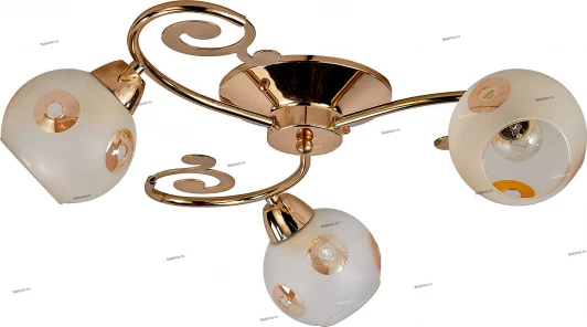 007/3PL Myone 007 007/3PL