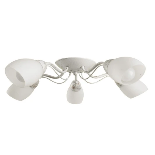 A8105PL-5WG Потолочная люстра Arte Lamp Carlo A8105PL-5WG