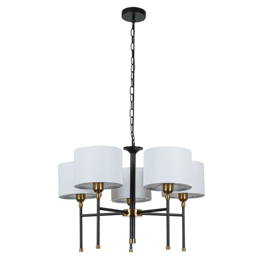 A4090LM-5BK Подвесная люстра Arte Lamp Jamie A4090LM-5BK