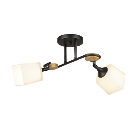 66582.01.14.02 Потолочная люстра Wedo Light Ivetta 66582.01.14.02