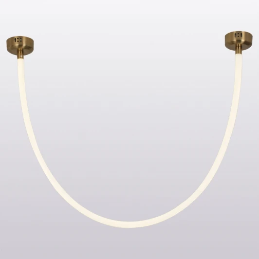 LSP-7010 Подвесной светильник с гибким неоном LSP-7010 (LED, 220V, IP21)