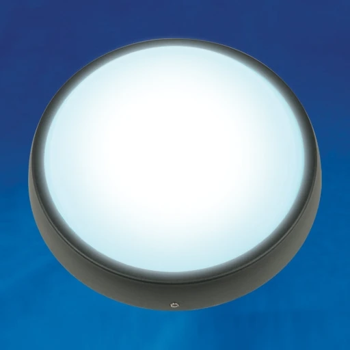 ULW-R02-7W/DW IP54 BLACK Потолочный светильник Uniel ULW-R02-7W/DW IP54 BLACK