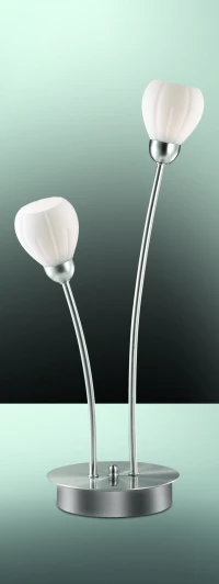 2469/2T Интерьерная настольная лампа Odeon Light Akron 2469/2T