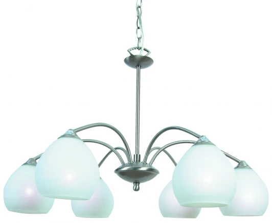 A8289LM-6SS Подвесная люстра Arte Lamp Bowl A8289LM-6SS