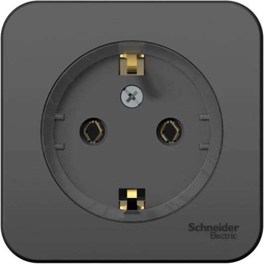 BLNRA110116 Розетка накладная с заземлением (антрацит) Systeme Electric Blanca BLNRA110116