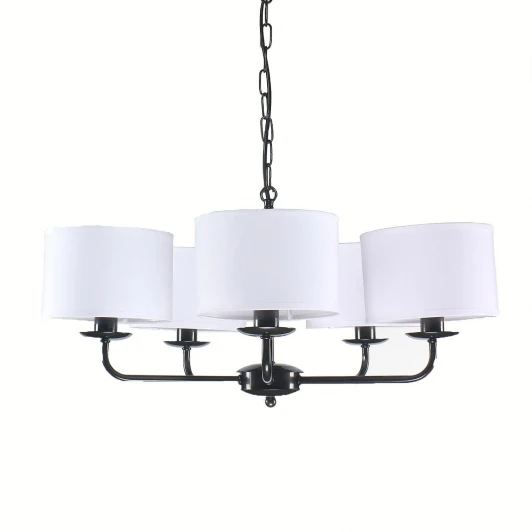 DN12565 Подвесная люстра Day&Night DN12565